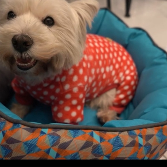 NWT KYEESE Dog Pajamas Polka Dot Size Medium Polka dot onesie Very soft Comfy - Picture 2 of 13